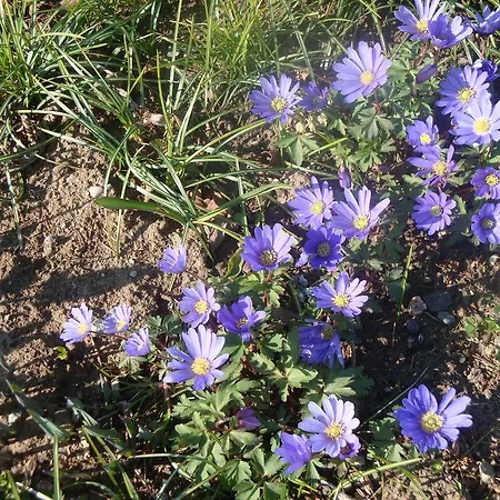 Gutspark Seeblick Апартаменты Kagsdorf