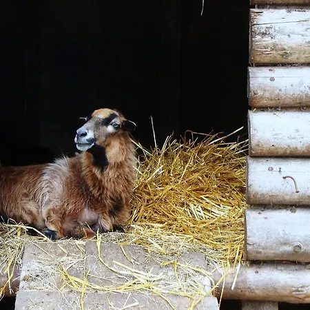 Gutspark Seeblick * Kagsdorf