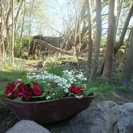 Апартаменты Gutspark Seeblick *