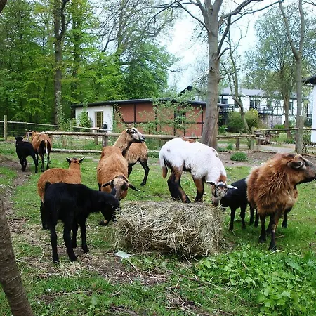 Apartmán Gutspark Seeblick
