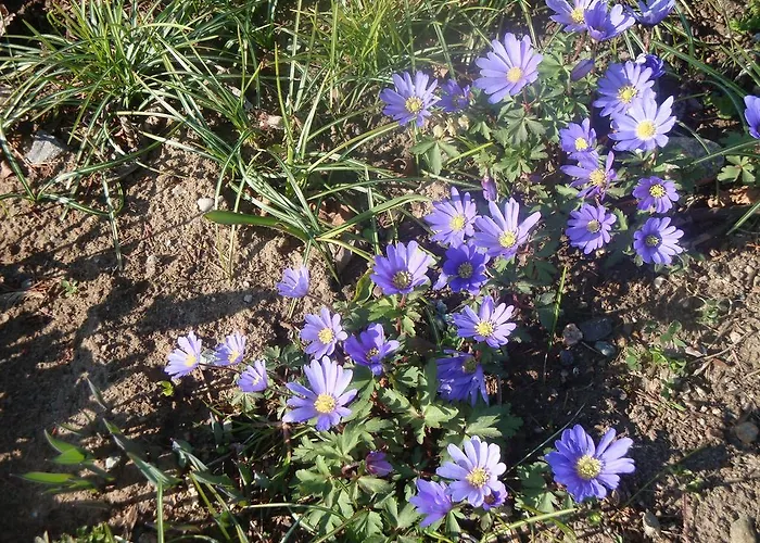 Gutspark Seeblick شقة Kägsdorf