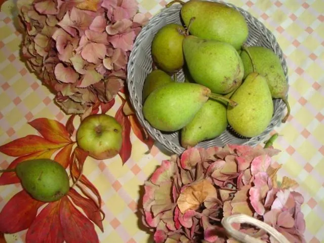 Gutspark Seeblick شقة *