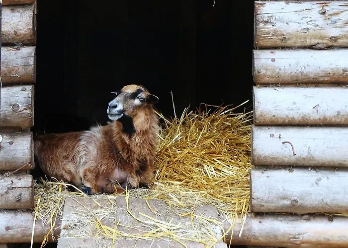 Gutspark Seeblick * Kägsdorf