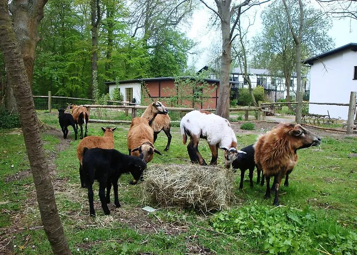 شقة Gutspark Seeblick